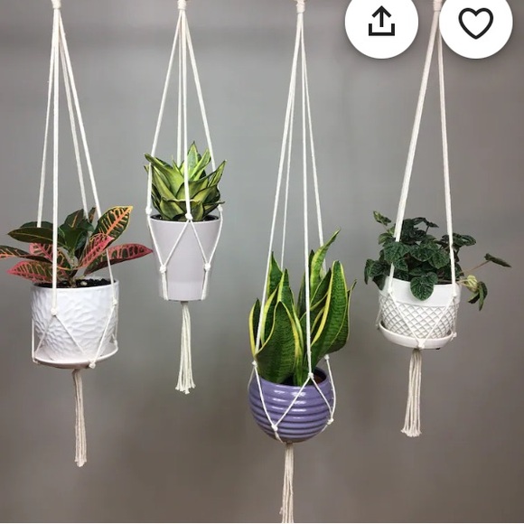 Minimalist Macrame Plant Hanger - 54” - Picture 3 of 6